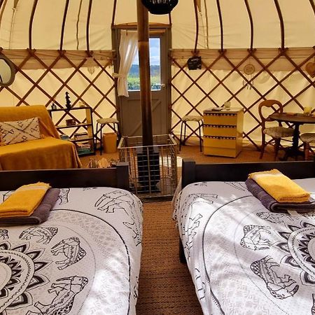 Bronfelen Yurt Hotell Cynghordy Exteriör bild