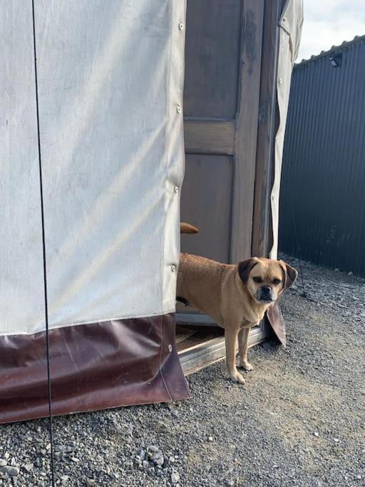 Bronfelen Yurt Hotell Cynghordy Exteriör bild